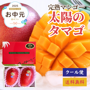 国産完熟マンゴー 「太陽のタマゴ」
3～4Lサイズ
2玉詰め
宮崎県産〈お中元〉