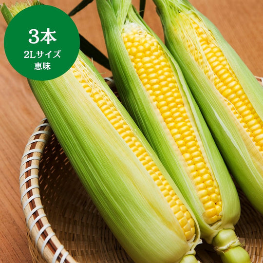 群馬県産他 
恵味とうもろこし
2Lサイズ
3本