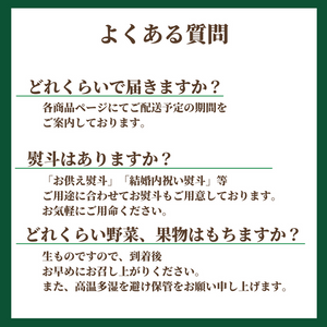 〈ギフト〉静岡県産 クラウンマスクメロン1玉（約1.5kg）