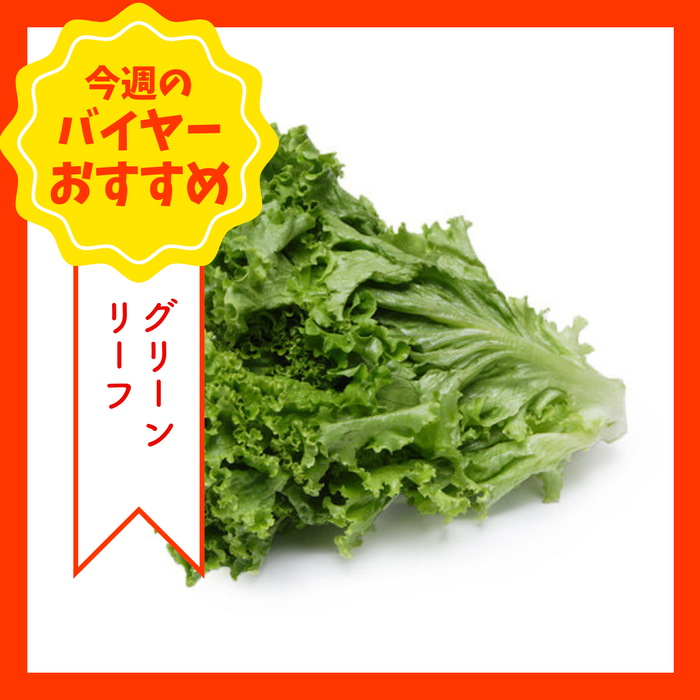 【9/13からおすすめ商品】グリーンリーフ　1袋　長野県産