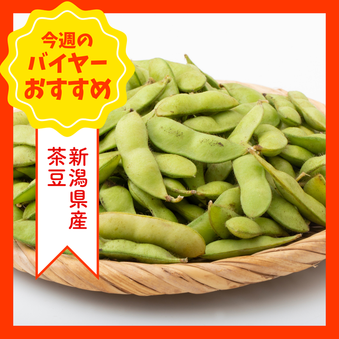 【8/2からおすすめ商品】茶豆　1袋(約250g)　新潟県産