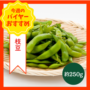【8/23からおすすめ商品】枝豆　約250g　埼玉県産他