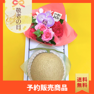 〈ギフト〉【だるま】マスクメロンと花のギフト〈敬老の日〉