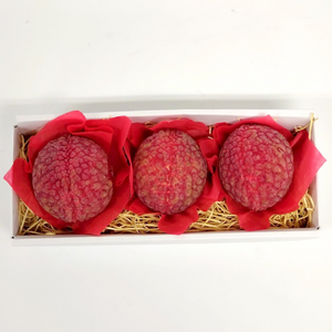 〈ギフト〉宮崎県産　国産生ライチ　3粒入り(3Lサイズ)　【入荷次第発送】