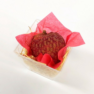 〈ギフト〉宮崎県産　国産生ライチ　1粒入り(3Lサイズ)　【入荷次第発送】