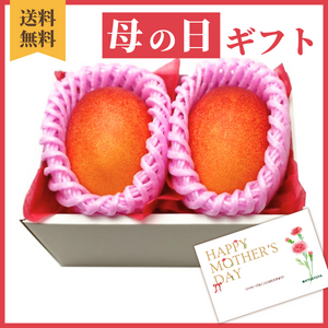 〈母の日ギフト〉
【4Lサイズ】宮崎県産完熟マンゴー のギフト（2玉詰め）