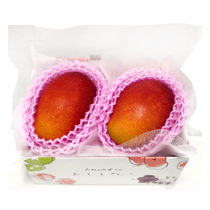 〈ギフト〉
宮崎県産 完熟マンゴー 
2玉セット（2Lサイズ）