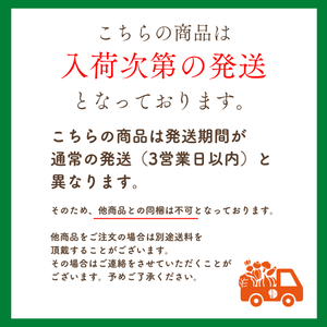 〈ギフト〉宮崎県産　国産生ライチ　3粒入り(3Lサイズ)　【入荷次第発送】