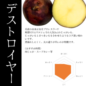 【数量限定！おすすめ商品】人気No.1！　北海道剣淵町産『デストロイヤー』約400g