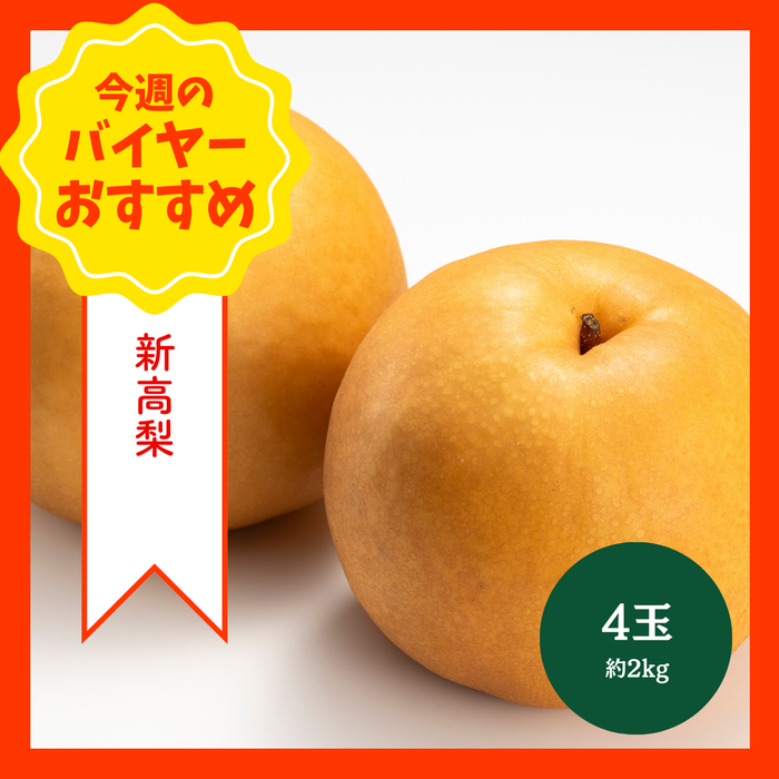 【9/13からおすすめ商品】新高梨　4玉(約2kg)　千葉県産他
