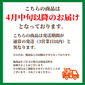 〈ギフト〉
【予約販売】愛知県蒲郡産ハウスみかん　愛知県蒲郡産　化粧箱 約1kg【4月中旬発送予定】