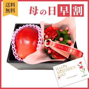 〈母の日ギフト〉■早期申込価格■
【タンゴ】完熟マンゴーと花のギフト