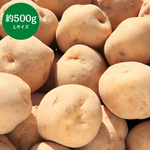 静岡県産 
三方原男爵
Lサイズ
約500g
