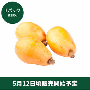 ◆5月12日頃販売開始予定◆
千葉県産 
房州びわ 
1パック（約250g）