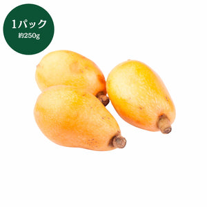◆5月12日頃販売開始予定◆
千葉県産 
房州びわ 
1パック（約250g）