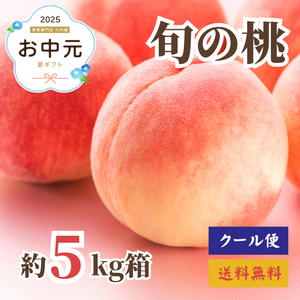 旬の桃
16～18玉詰め（約5kg）
山梨県産他〈お中元〉