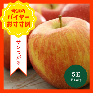 【9/13からおすすめ商品】サンつがる　5玉(約1.3kg)　青森県産他
