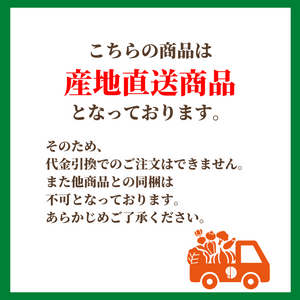 【早割】〈産地直送〉宮崎県都城市産 近間さんが作った朝穫れ「味来（みらい）コーン」 化粧箱（8本入り）