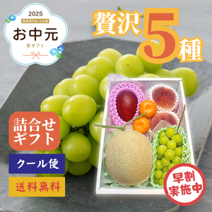 【早割】夏果実の贅沢フルーツギフト【5種】〈お中元〉