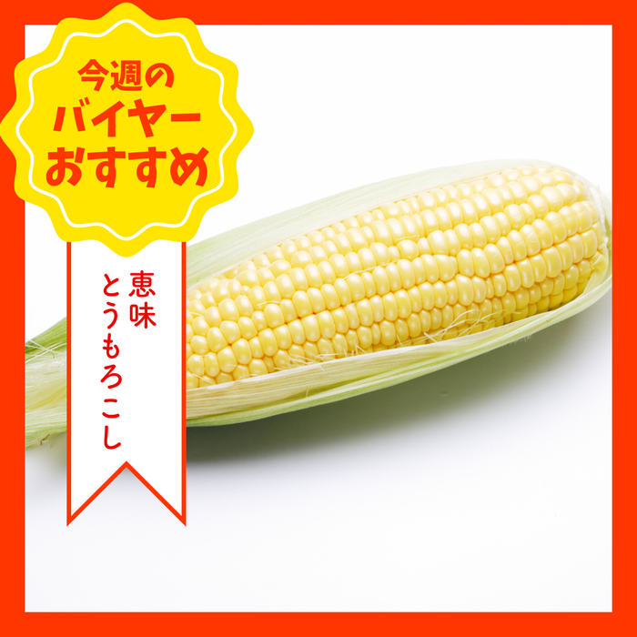 【8/2からおすすめ商品】恵味とうもろこし　2Lサイズ　1本　群馬県産他