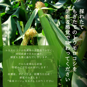 【早割】〈産地直送〉宮崎県都城市産 近間さんが作った朝穫れ「味来（みらい）コーン」 約5㎏（13～15本入り）