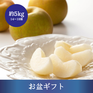 〈お盆ギフト〉
千葉県産他 旬の梨 約5kg 14～18個入