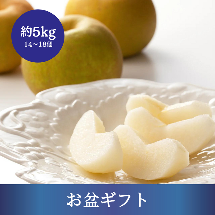 〈お盆ギフト〉
千葉県産他 旬の梨 約5kg 14～18個入