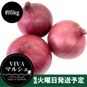 北海道剣淵町産
『玉ねぎ（赤）』約5kg【受注販売】
