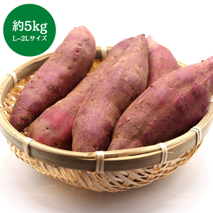 茨城県産他
紅はるか　約5kg(L～2Lサイズ)