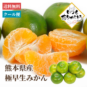 〈ギフト〉熊本県産他 極早生みかん約4.5kg【敬老の日】