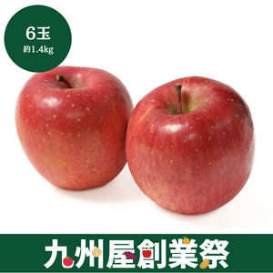 ＜九州屋創業祭＞青森県産他　サンふじりんご　6玉（約1.4kg）