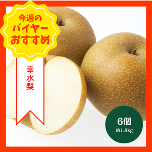 【8/23からおすすめ商品】幸水梨　6個(約1.8kg)　新潟県産他