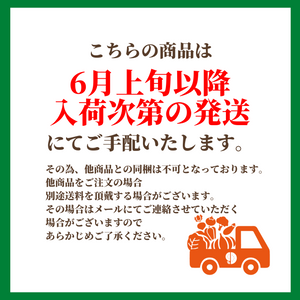 【予約販売】〈ギフト〉レーニア　約500g【6月以降発送予定】