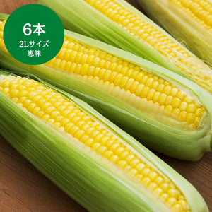 群馬県産他 
恵味とうもろこし  
2Lサイズ
6本