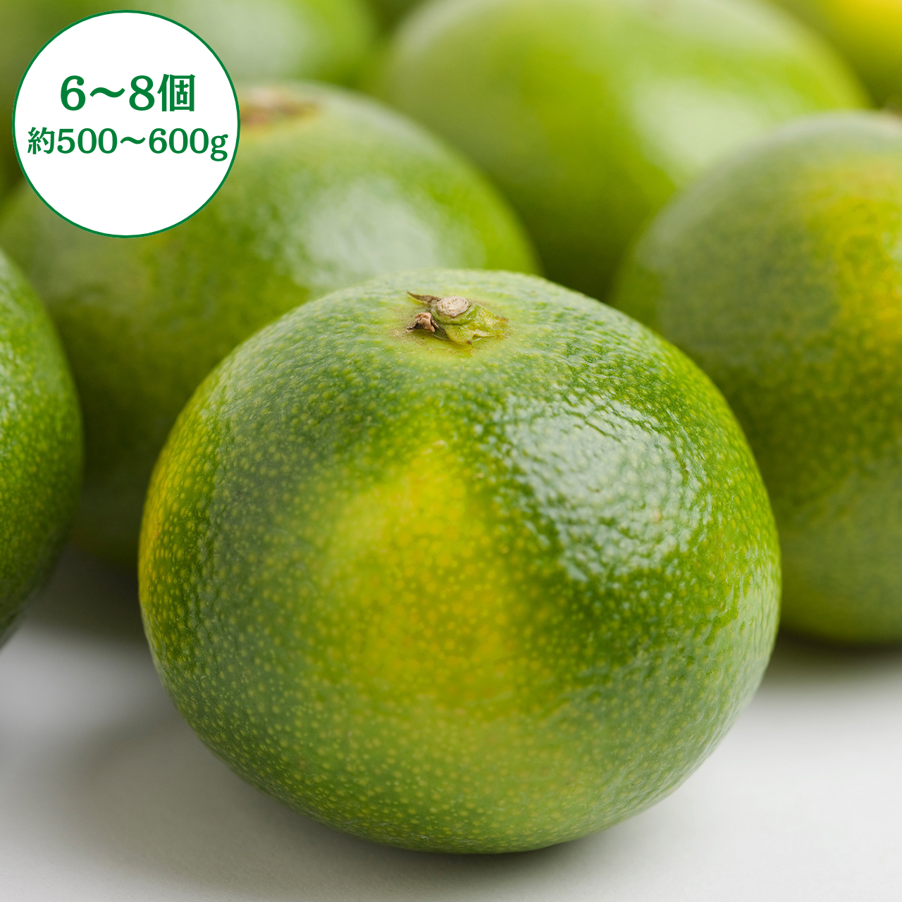 国産柑橘特集 – 九州屋plus+