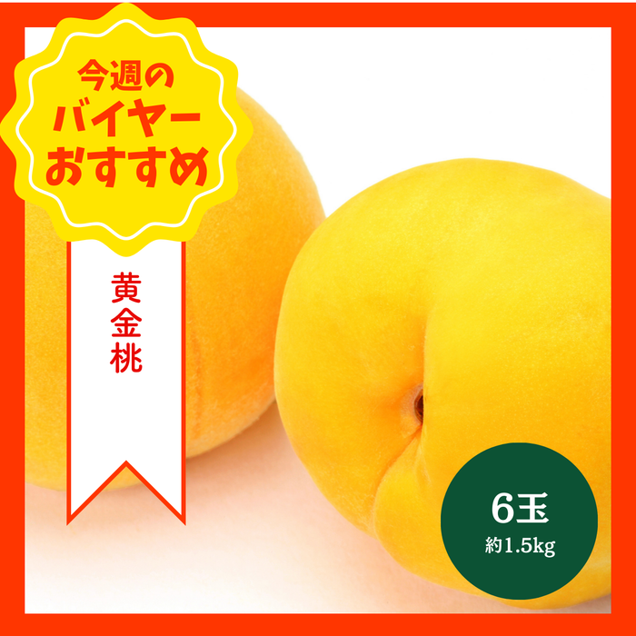 【8/23からおすすめ商品】黄金桃　6玉(約1.5kg)　福島県産他