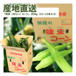 〈産地直送〉宮崎県都城市産 近間さんが作った朝穫れ「味来（みらい）コーン」 約5㎏（13～15本入り）
