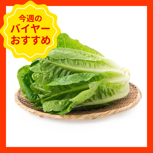 【5/31からおすすめ商品】ロメインレタス　1袋　香川県産他