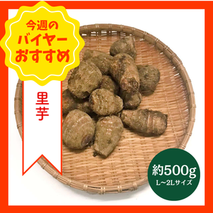 【8/23からおすすめ商品】里芋　L～2Lサイズ　約500g　千葉県産他