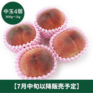 ◆7月中旬以降販売開始◆
福島県産
旬の桃
中玉4個（約800g～1kg）