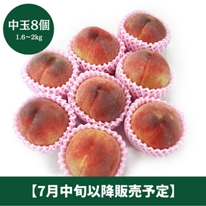 ◆7月中旬以降販売開始◆
福島県産
旬の桃
中玉8個（約1.6～2kg）