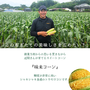 【早割】〈産地直送〉宮崎県都城市産 近間さんが作った朝穫れ「味来（みらい）コーン」 約5㎏（13～15本入り）