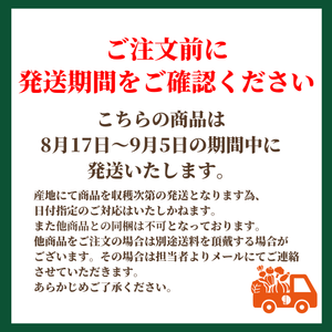 とうもろこし 5色10本セット
（ドルチェドリーム・ゴールドラッシュ・ホイップコーン・ロイシーコーン・大和ルージュ　各2本）北海道剣淵町産【産地直送】