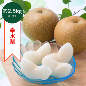 〈ギフト〉茨城県産他 幸水梨　約2.5㎏　6～8玉