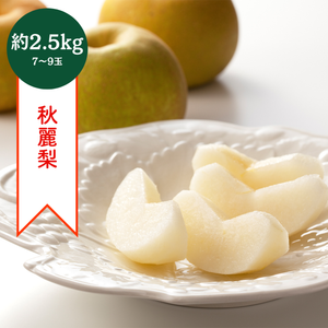 〈ギフト〉【8月18日頃販売開始】熊本県産 秋麗梨　約2.5㎏　7～9玉