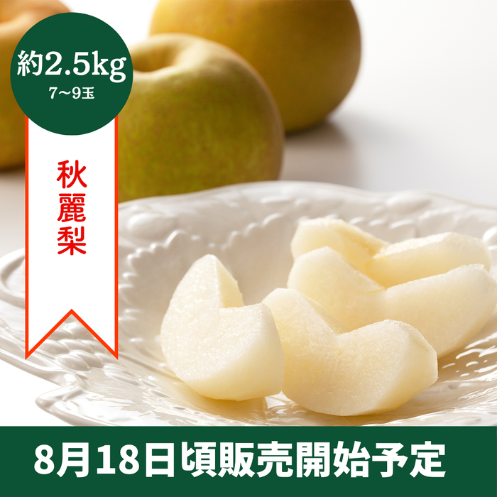 〈ギフト〉【8月18日頃販売開始】熊本県産 秋麗梨　約2.5㎏　7～9玉