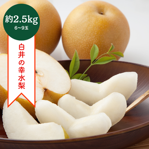 〈ギフト〉千葉県産 白井の幸水梨　約2.5㎏　6～9玉