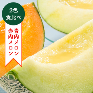 〈ギフト〉
青肉＆赤肉メロンセット【2色食べ比べ】