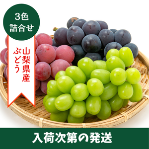 〈ギフト〉【入荷次第の発送】山梨県産ぶどう3色詰合せ