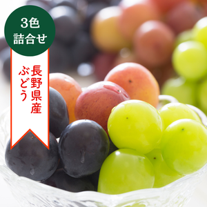 〈ギフト〉長野県産ぶどう3色詰合せ